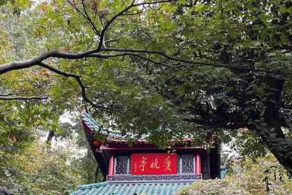 郝大姐·乌龙山特色铁板烧(吉大店)
