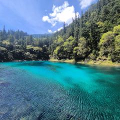 LIU LAO YAO MAO NIU ROU SHANG GUO User Photo