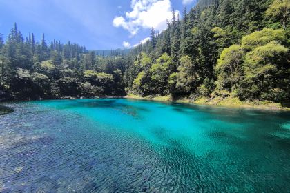 LIU LAO YAO MAO NIU ROU SHANG GUO