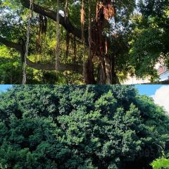 宣和一味（融僑中心店）張用戶圖片