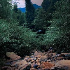 鱼知道乡村酒店 User Photo