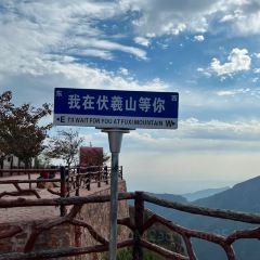 ZHENG XI WANG User Photo