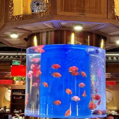 小吊梨汤(万象天地店) User Photo