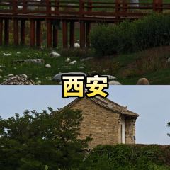 秀嫂撻粿張用戶圖片