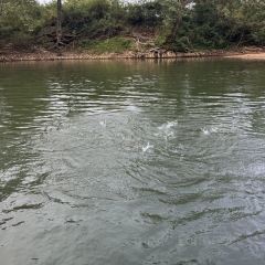 大三碗(旧街店) User Photo