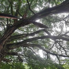 闽粤土菜馆 User Photo
