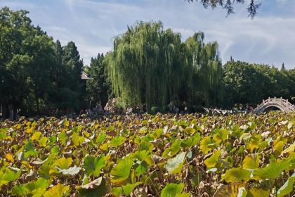 淀里船宴(复兴路店)