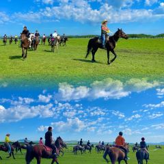 DA WEI ROAST WHOLE LAMB User Photo