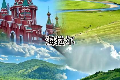 Nuo min ta la Milk Tea (manzhouli)