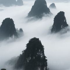 Yaojia Restaurant User Photo