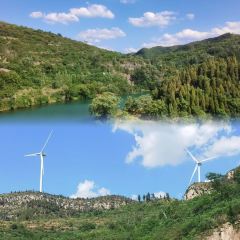 WU SHI SHAO KAO User Photo