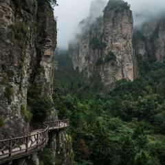 Run Fenghe Beef Offal User Photo