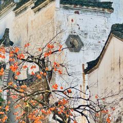 ZHU XIANG LOU User Photo