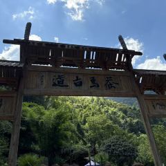 SHANGXILEICHA User Photo