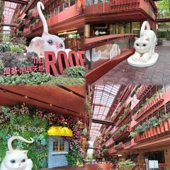 CAMINETTO User Photo