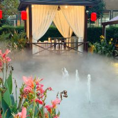 大同品味(鼎湖店) User Photo