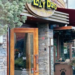 Lazy Dog Restaurant & Bar User Photo