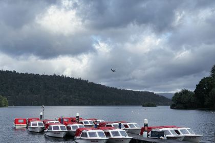 Beresford's Restaurant & Pub