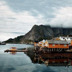 Makalaus User Photo