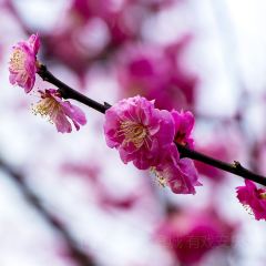 临福山庄 ảnh của người dùng