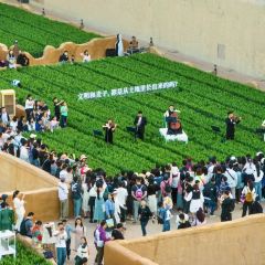 台湾光芒手作(只有河南麦浪餐厅店) 여행 사진