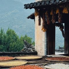 半岛南山Coffee User Photo