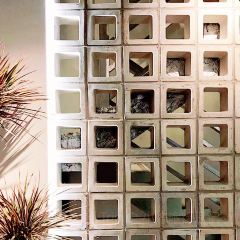 四云奶盖贡茶(五灯坡店) User Photo