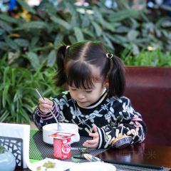 简阳三岔湖长岛天堂洲际酒店·龙轩中餐厅 User Photo