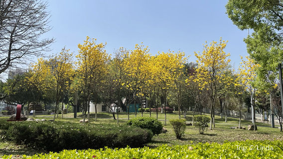 Guishan Park