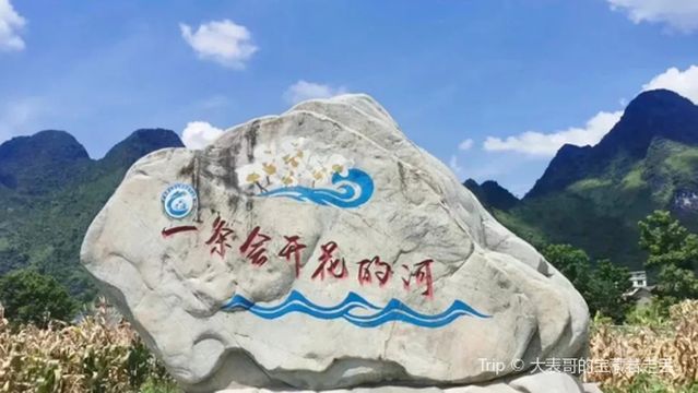 guang xi dou an cheng jiang guo jia shi di gong yuan hai cai hua guan shang ji di