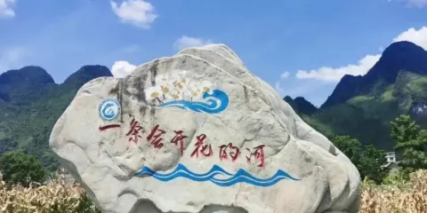 廣西都安澄江國家濕地公園海菜花觀賞基地