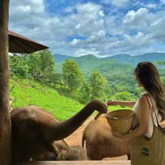 Elefin Farm & Cafe เอเลฟิน ฟาร์ม แอนด์ คาเฟ่ User Photo