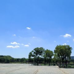 秀山湖畔張用戶圖片