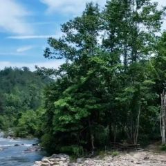 知青小镇 User Photo