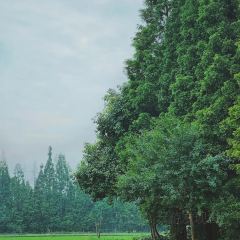 凡塔夕 User Photo
