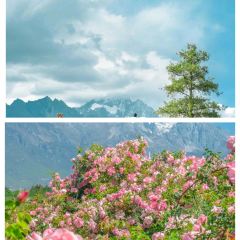 听花谷餐厅 User Photo