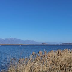 观湖台 User Photo