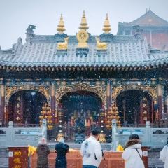 五台山又见吾乡·二十六村居(五台山风景区店)·小院里 User Photo