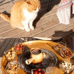 六月瓣咖啡 User Photo