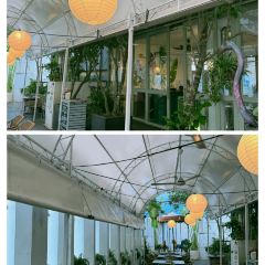 Balin Roofgarden Bistro & Bar User Photo