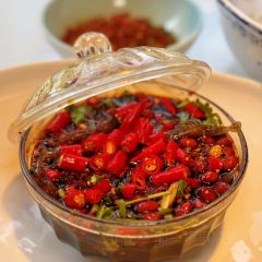 邛海打魚匠張用戶圖片