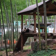 常溧面馆(嘉丰店) User Photo