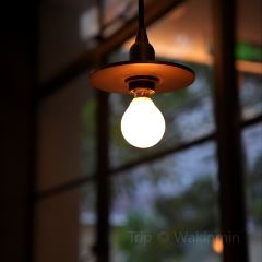 Cellar To Table·CTT User Photo