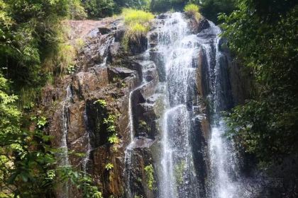唐沫茶兮(三坊七巷店)