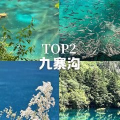 卡万金特色藏餐 User Photo