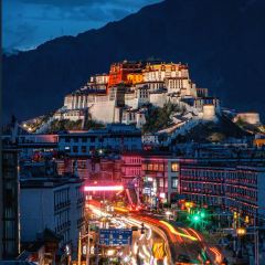 钟阿姨手工酸奶 User Photo