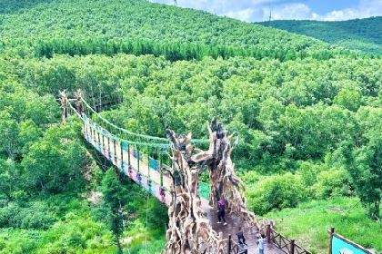 承德丰宁坝上胖哥农家院