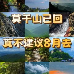 王阿姨梅花糕 User Photo