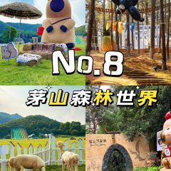 翠茗农庄土菜馆 User Photo