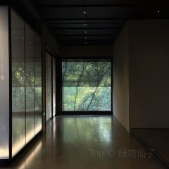 PURPLE MOUNTAIN GARDEN 여행 사진